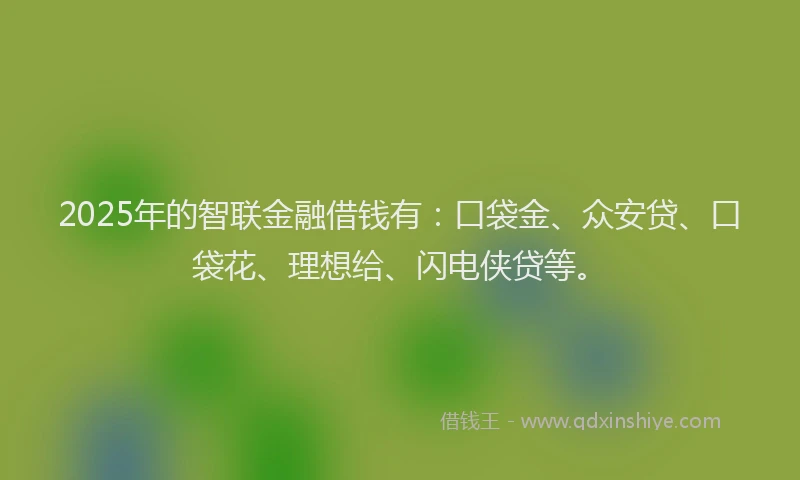 2025年的智联金融借钱有：口袋金、众安贷、口袋花、理想给、闪电侠贷等。