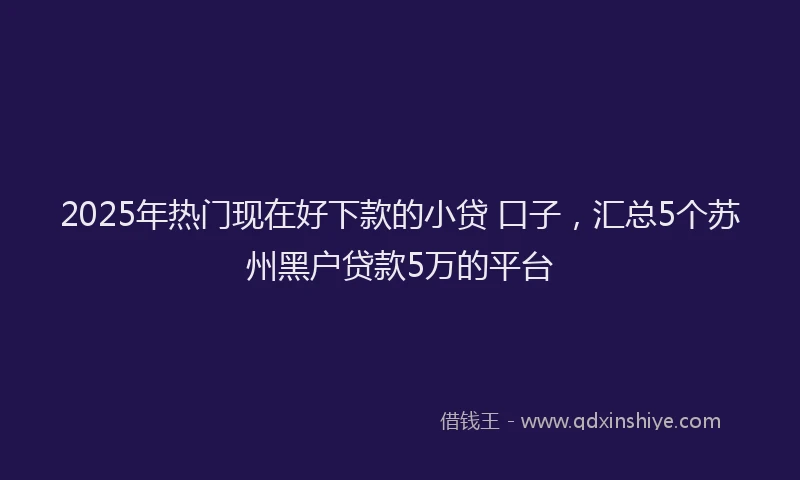 2025年热门现在好下款的小贷 口子，汇总5个苏州黑户贷款5万的平台