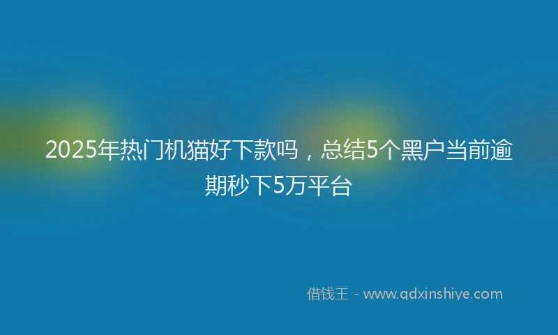 2025年热门机猫好下款吗，总结5个黑户当前逾期秒下5万平台