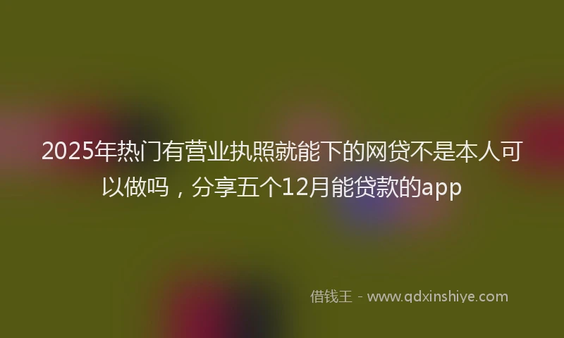 2025年热门有营业执照就能下的网贷不是本人可以做吗，分享五个12月能贷款的app