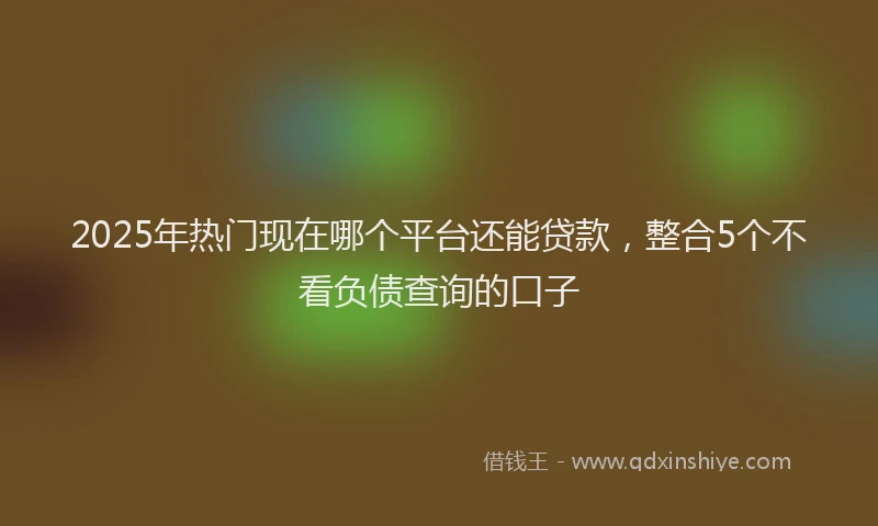2025年热门现在哪个平台还能贷款，整合5个不看负债查询的口子