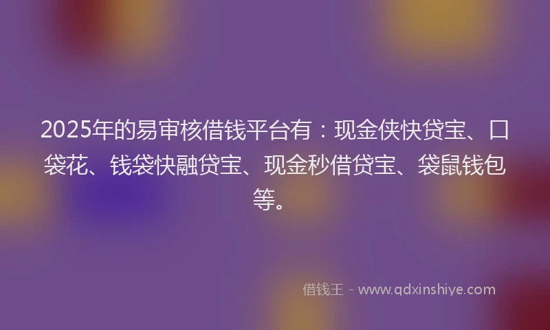 2025年的易审核借钱平台有：现金侠快贷宝、口袋花、钱袋快融贷宝、现金秒借贷宝、袋鼠钱包等。