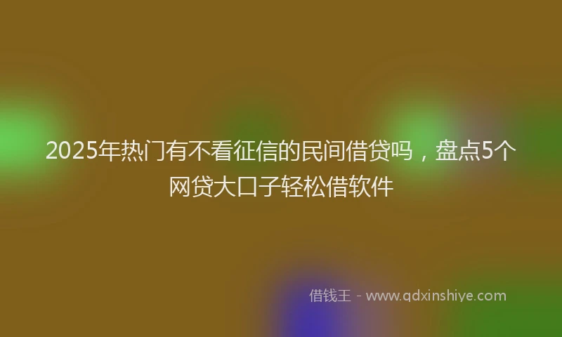 2025年热门有不看征信的民间借贷吗，盘点5个网贷大口子轻松借软件