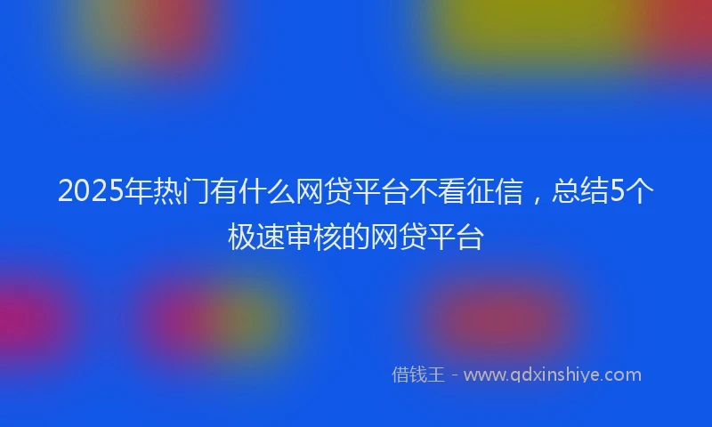 2025年热门有什么网贷平台不看征信，总结5个极速审核的网贷平台
