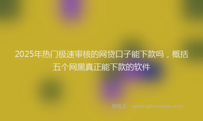 2025年热门极速审核的网贷口子能下款吗，概括五个网黑真正能下款的软件