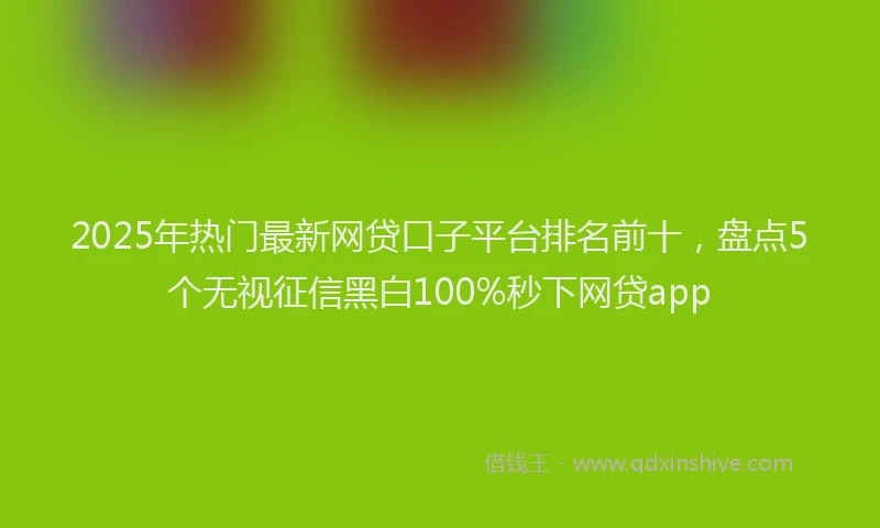 2025年热门最新网贷口子平台排名前十，盘点5个无视征信黑白100%秒下网贷app