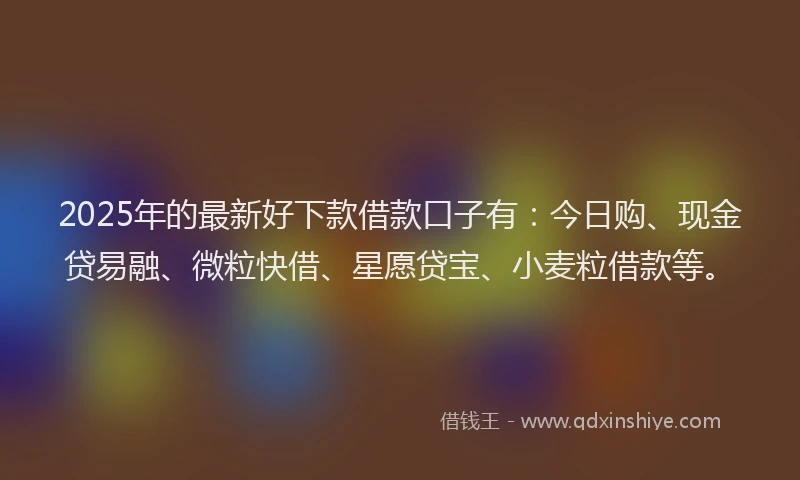 2025年的最新好下款借款口子有：今日购、现金贷易融、微粒快借、星愿贷宝、小麦粒借款等。