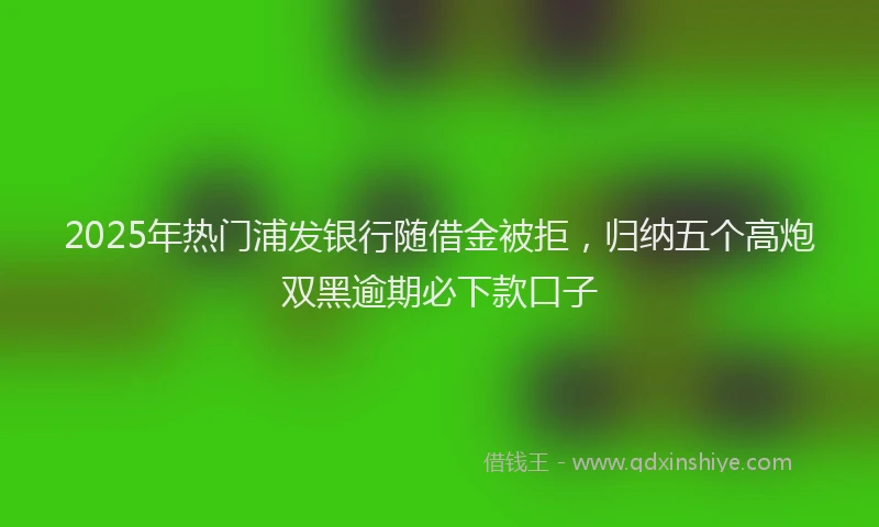 2025年热门浦发银行随借金被拒，归纳五个高炮双黑逾期必下款口子