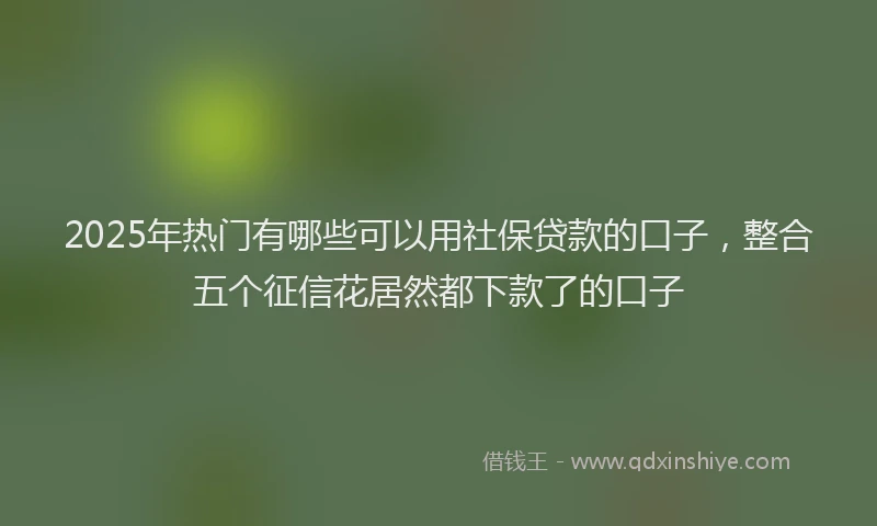 2025年热门有哪些可以用社保贷款的口子，整合五个征信花居然都下款了的口子