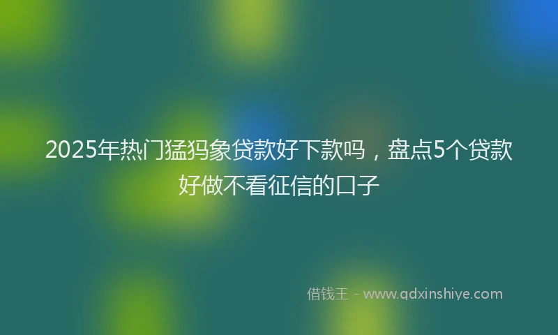 2025年热门猛犸象贷款好下款吗，盘点5个贷款好做不看征信的口子