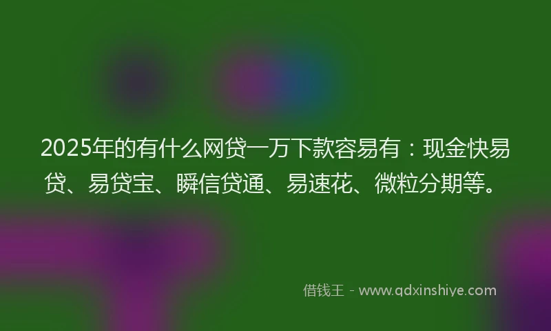 2025年的有什么网贷一万下款容易有：现金快易贷、易贷宝、瞬信贷通、易速花、微粒分期等。