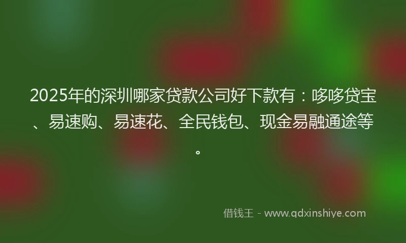 2025年的深圳哪家贷款公司好下款有：哆哆贷宝、易速购、易速花、全民钱包、现金易融通途等。