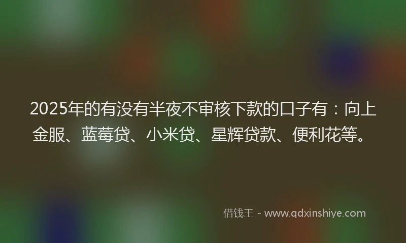 2025年的有没有半夜不审核下款的口子有：向上金服、蓝莓贷、小米贷、星辉贷款、便利花等。
