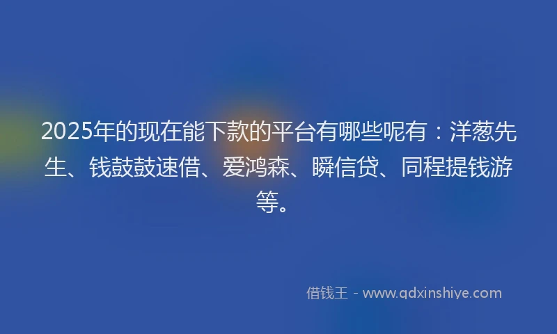 2025年的现在能下款的平台有哪些呢有：洋葱先生、钱鼓鼓速借、爱鸿森、瞬信贷、同程提钱游等。