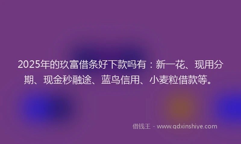 2025年的玖富借条好下款吗有：新一花、现用分期、现金秒融途、蓝鸟信用、小麦粒借款等。