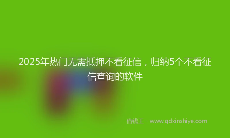 2025年热门无需抵押不看征信，归纳5个不看征信查询的软件