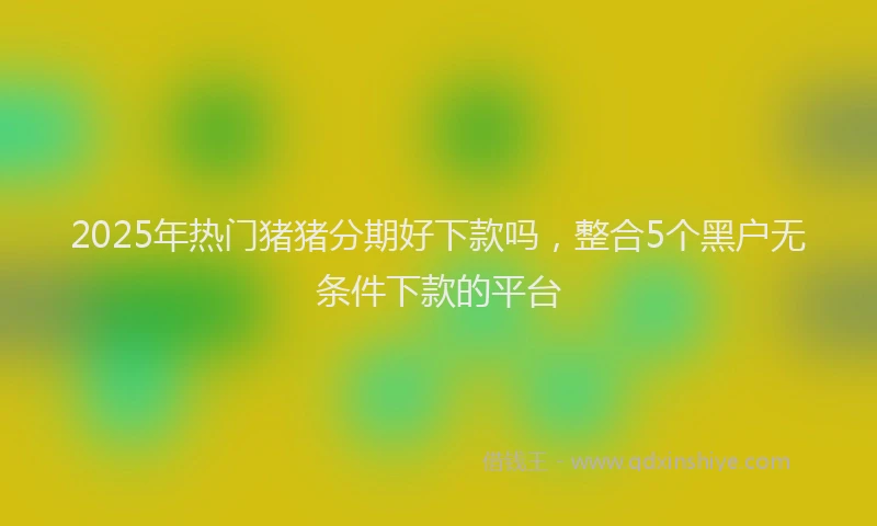 2025年热门猪猪分期好下款吗，整合5个黑户无条件下款的平台