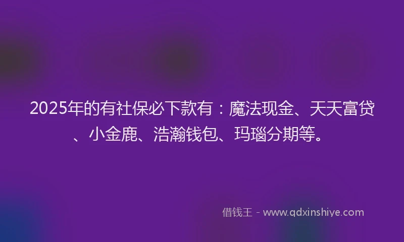 2025年的有社保必下款有：魔法现金、天天富贷、小金鹿、浩瀚钱包、玛瑙分期等。