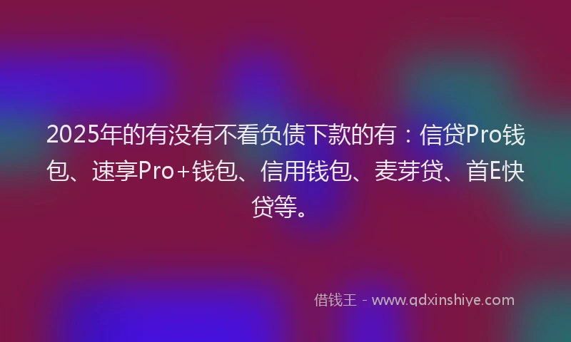 2025年的有没有不看负债下款的有：信贷Pro钱包、速享Pro+钱包、信用钱包、麦芽贷、首E快贷等。
