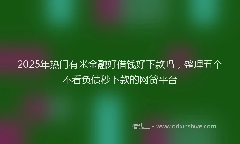 2025年热门有米金融好借钱好下款吗，整理五个不看负债秒下款的网贷平台