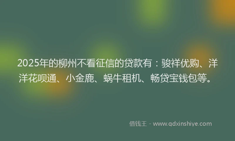 2025年的柳州不看征信的贷款有：骏祥优购、洋洋花呗通、小金鹿、蜗牛租机、畅贷宝钱包等。