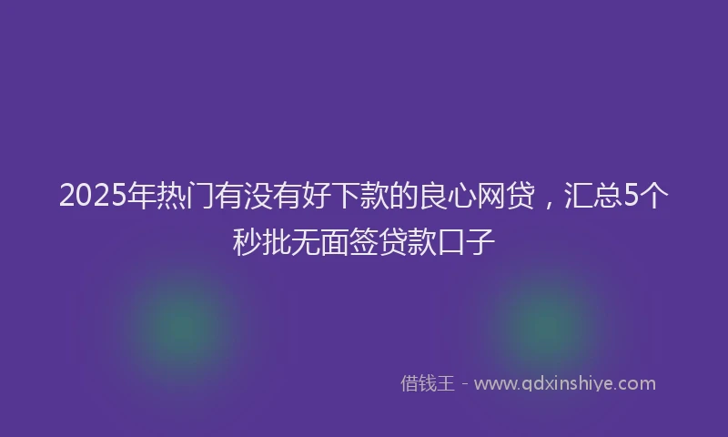 2025年热门有没有好下款的良心网贷，汇总5个秒批无面签贷款口子