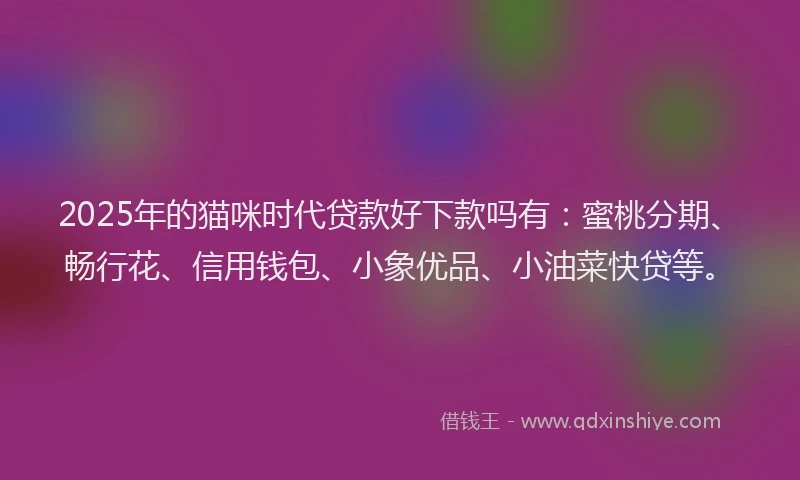 2025年的猫咪时代贷款好下款吗有：蜜桃分期、畅行花、信用钱包、小象优品、小油菜快贷等。