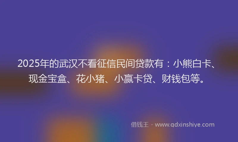 2025年的武汉不看征信民间贷款有：小熊白卡、现金宝盒、花小猪、小赢卡贷、财钱包等。