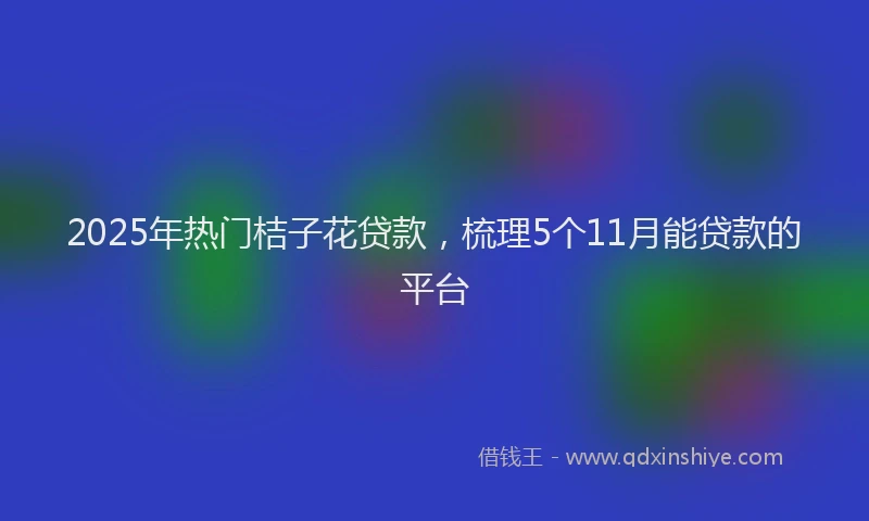 2025年热门桔子花贷款，梳理5个11月能贷款的平台