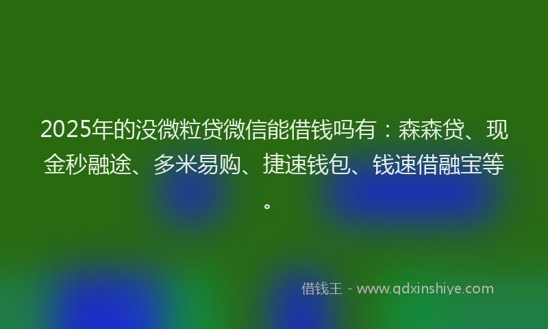 2025年的没微粒贷微信能借钱吗有：森森贷、现金秒融途、多米易购、捷速钱包、钱速借融宝等。