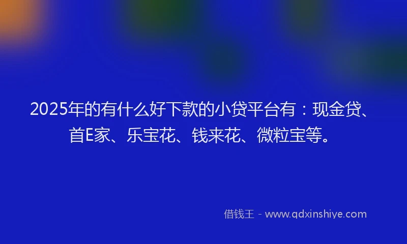 2025年的有什么好下款的小贷平台有：现金贷、首E家、乐宝花、钱来花、微粒宝等。