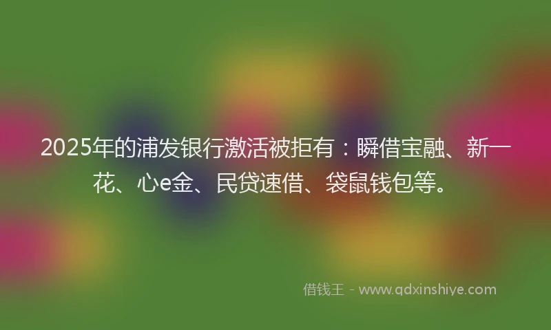2025年的浦发银行激活被拒有：瞬借宝融、新一花、心e金、民贷速借、袋鼠钱包等。