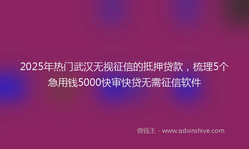 2025年热门武汉无视征信的抵押贷款，梳理5个急用钱5000快审快贷无需征信软件