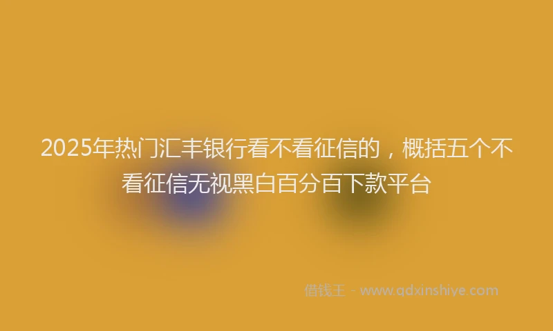 2025年热门汇丰银行看不看征信的，概括五个不看征信无视黑白百分百下款平台