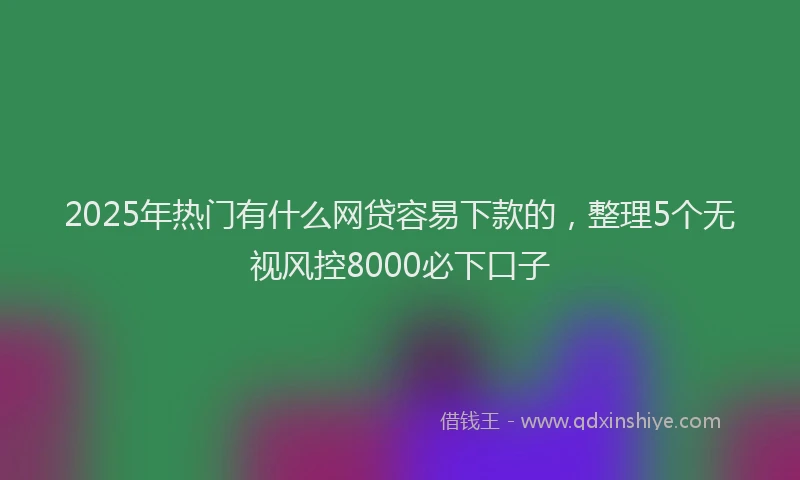 2025年热门有什么网贷容易下款的，整理5个无视风控8000必下口子