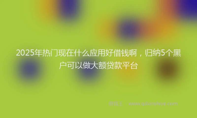 2025年热门现在什么应用好借钱啊，归纳5个黑户可以做大额贷款平台