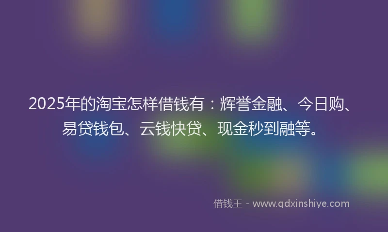 2025年的淘宝怎样借钱有：辉誉金融、今日购、易贷钱包、云钱快贷、现金秒到融等。