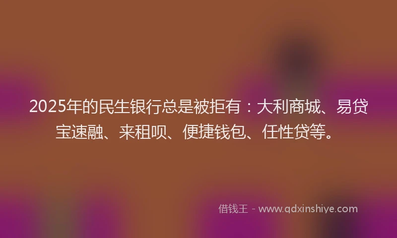 2025年的民生银行总是被拒有：大利商城、易贷宝速融、来租呗、便捷钱包、任性贷等。
