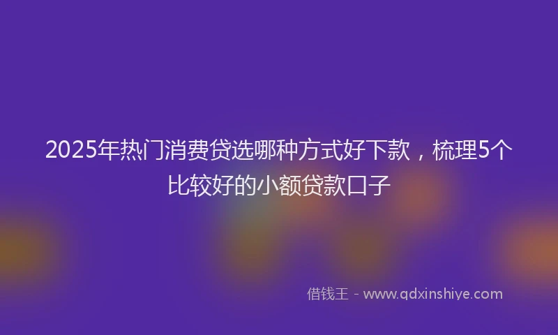 2025年热门消费贷选哪种方式好下款，梳理5个比较好的小额贷款口子