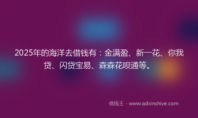 2025年的海洋去借钱有：金满盈、新一花、你我贷、闪贷宝易、森森花呗通等。