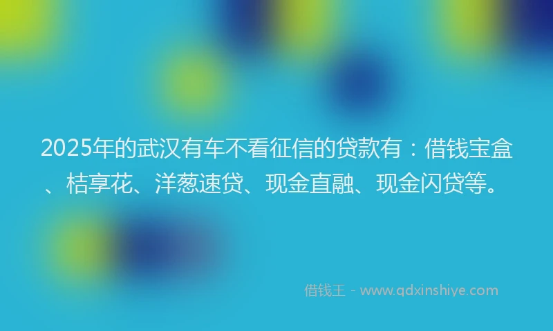 2025年的武汉有车不看征信的贷款有：借钱宝盒、桔享花、洋葱速贷、现金直融、现金闪贷等。