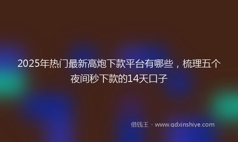 2025年热门最新高炮下款平台有哪些，梳理五个夜间秒下款的14天口子