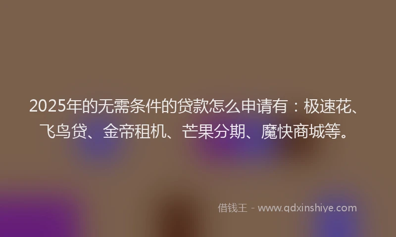 2025年的无需条件的贷款怎么申请有：极速花、飞鸟贷、金帝租机、芒果分期、魔快商城等。