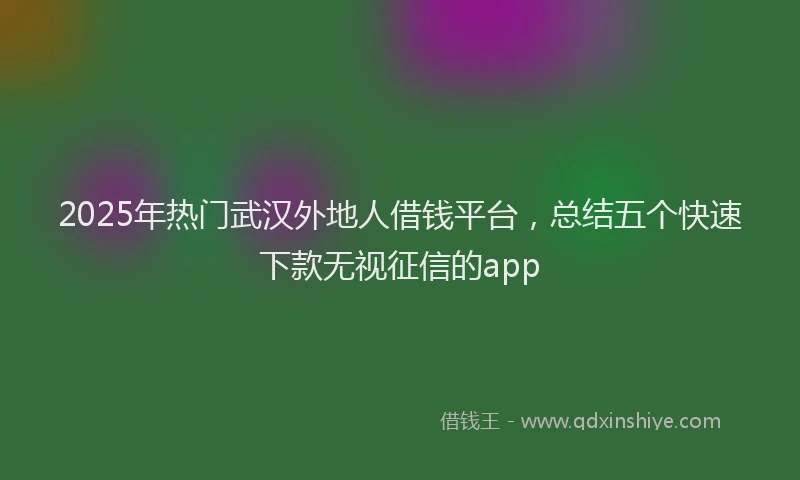 2025年热门武汉外地人借钱平台，总结五个快速下款无视征信的app