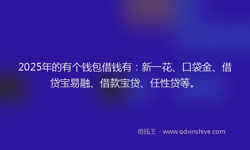 2025年的有个钱包借钱有：新一花、口袋金、借贷宝易融、借款宝贷、任性贷等。