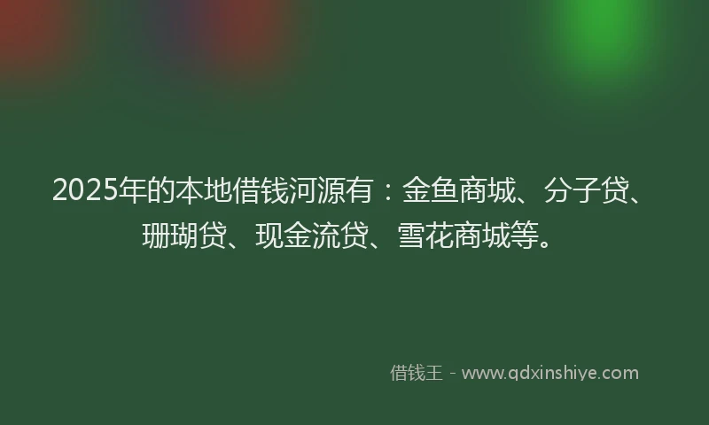 2025年的本地借钱河源有：金鱼商城、分子贷、珊瑚贷、现金流贷、雪花商城等。