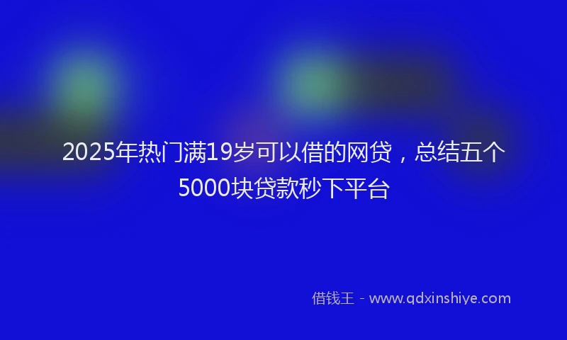 2025年热门满19岁可以借的网贷，总结五个5000块贷款秒下平台