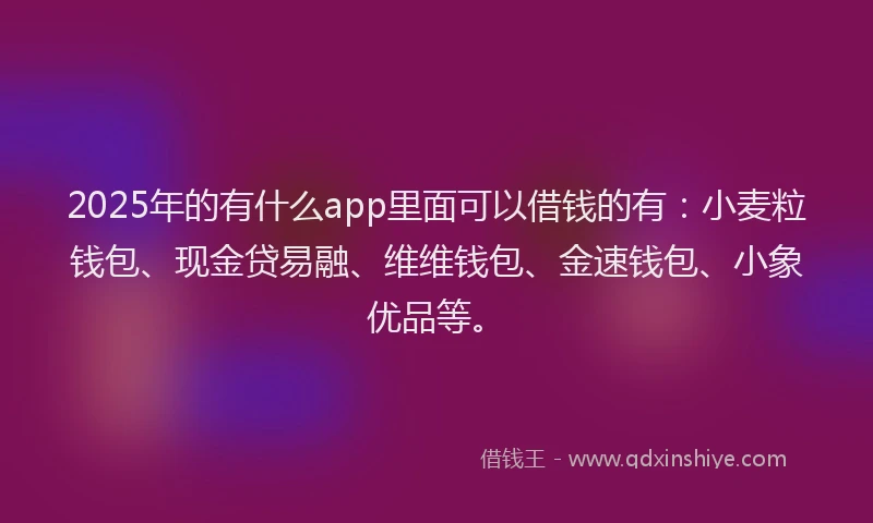 2025年的有什么app里面可以借钱的有：小麦粒钱包、现金贷易融、维维钱包、金速钱包、小象优品等。