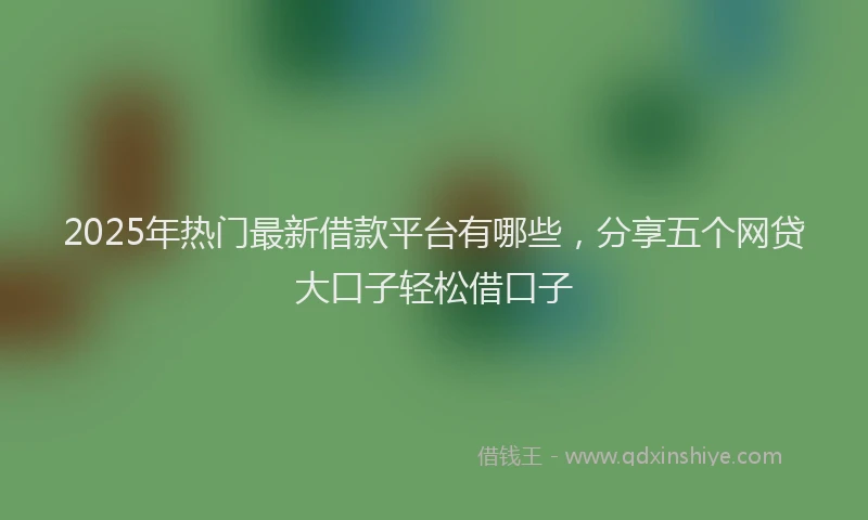 2025年热门最新借款平台有哪些，分享五个网贷大口子轻松借口子