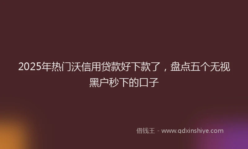 2025年热门沃信用贷款好下款了，盘点五个无视黑户秒下的口子